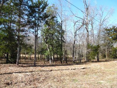TBD 1.2 Maple Dr