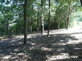 L 39-40 Cottonwood Lane