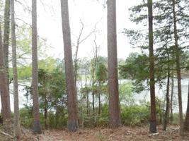 Lot 437 Safari Bluff