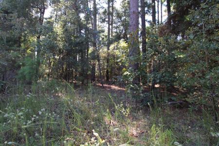 Briar Grove
