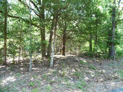 11.TBD Deer Path