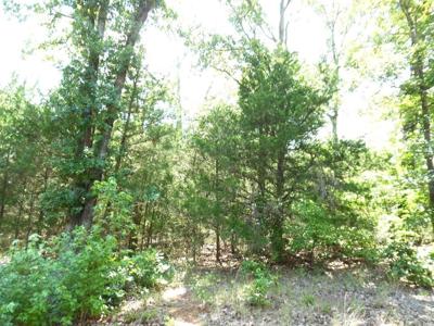 12 TBD Deer Path