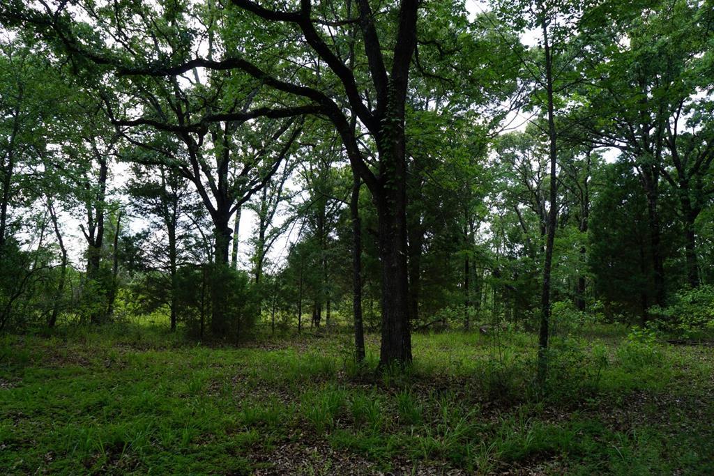 Image 1: Main View
