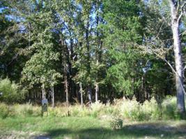 Lot 454 Safari Bluff