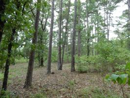 TBD Timber Ridge