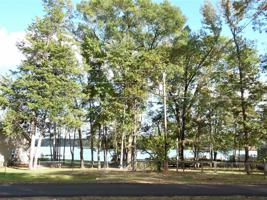 425 Dogwood Trail