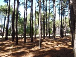 L 112 Toler Point