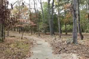 LOT 160 Toler Pointe