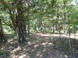 TBD L182 Trophy Pointe