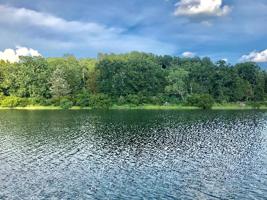 Lot 73 Pine Grove Court