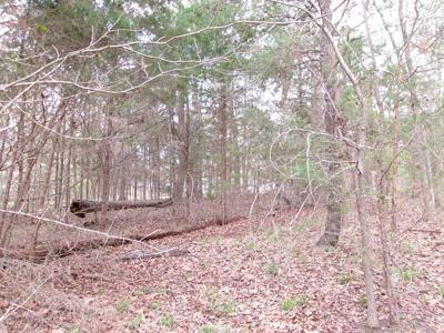 TBD (L5) Walnut Trl