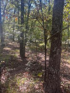 Lot 256 Beachwood Lp