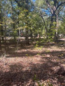 Lot 257 Beachwood Lp