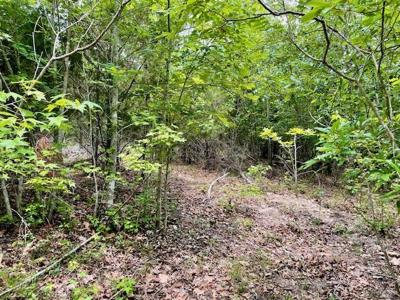 0 Lot 3 Indian Road