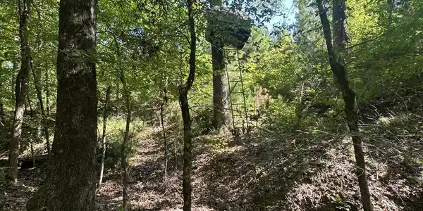 Lot 3a Elberton Highway