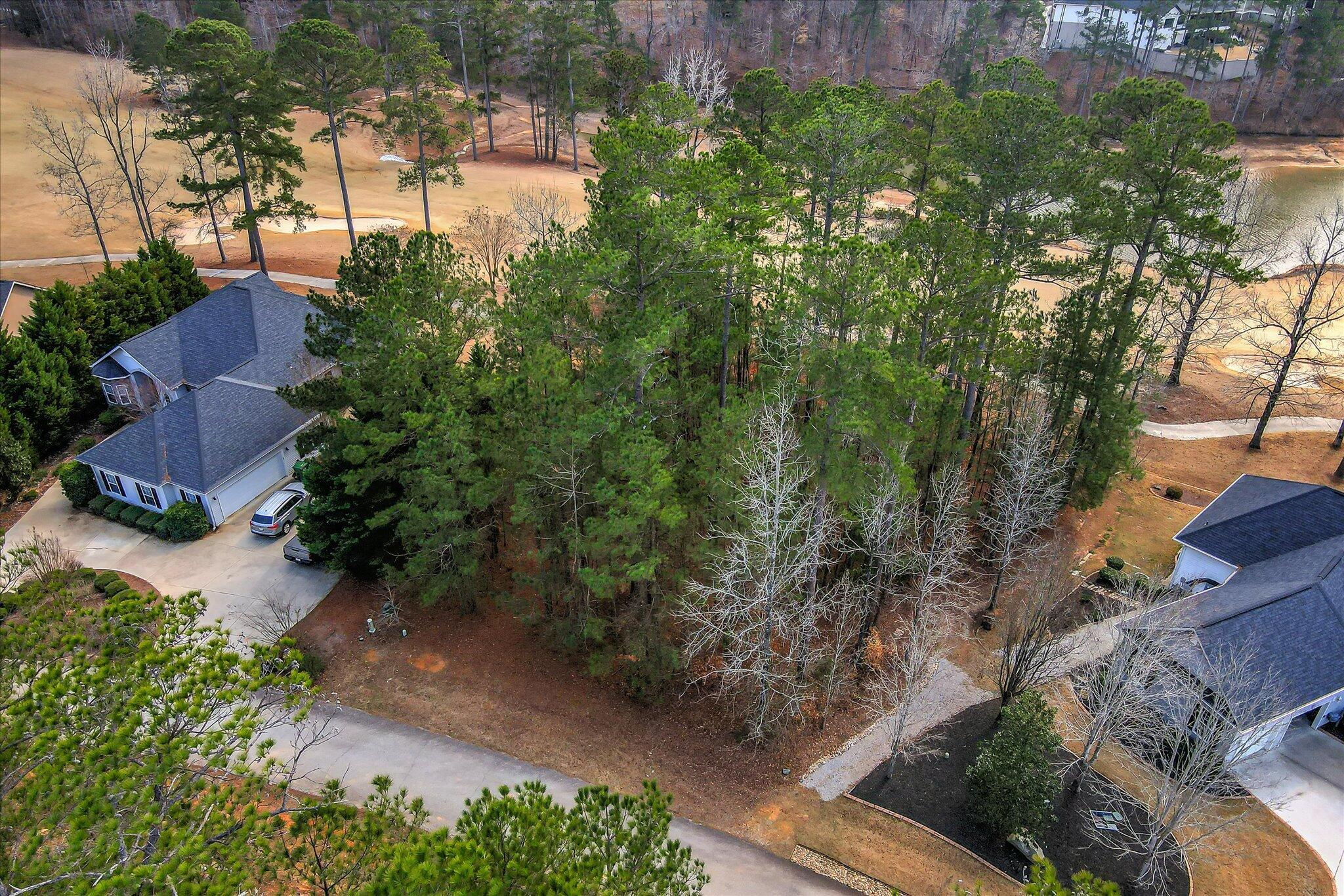 Image 2: drone