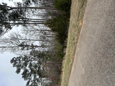 5.47ac Nathania Farm Road