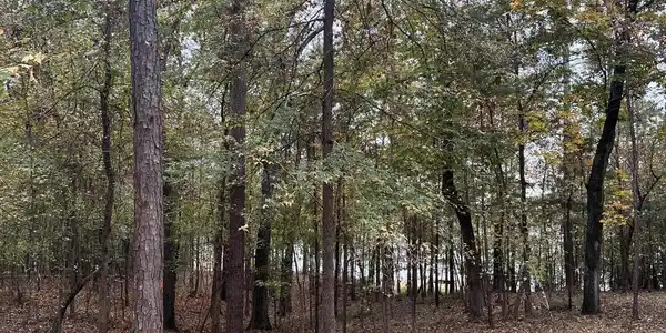 1431 ROCK POINT Cove