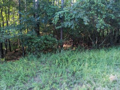LOT 24 SAVANNAH RIDGE Road