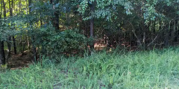LOT 24 SAVANNAH RIDGE Road