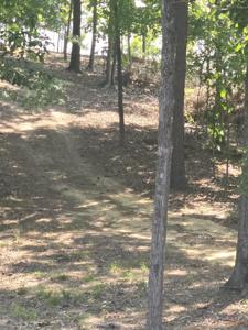 1282 Striper Cove