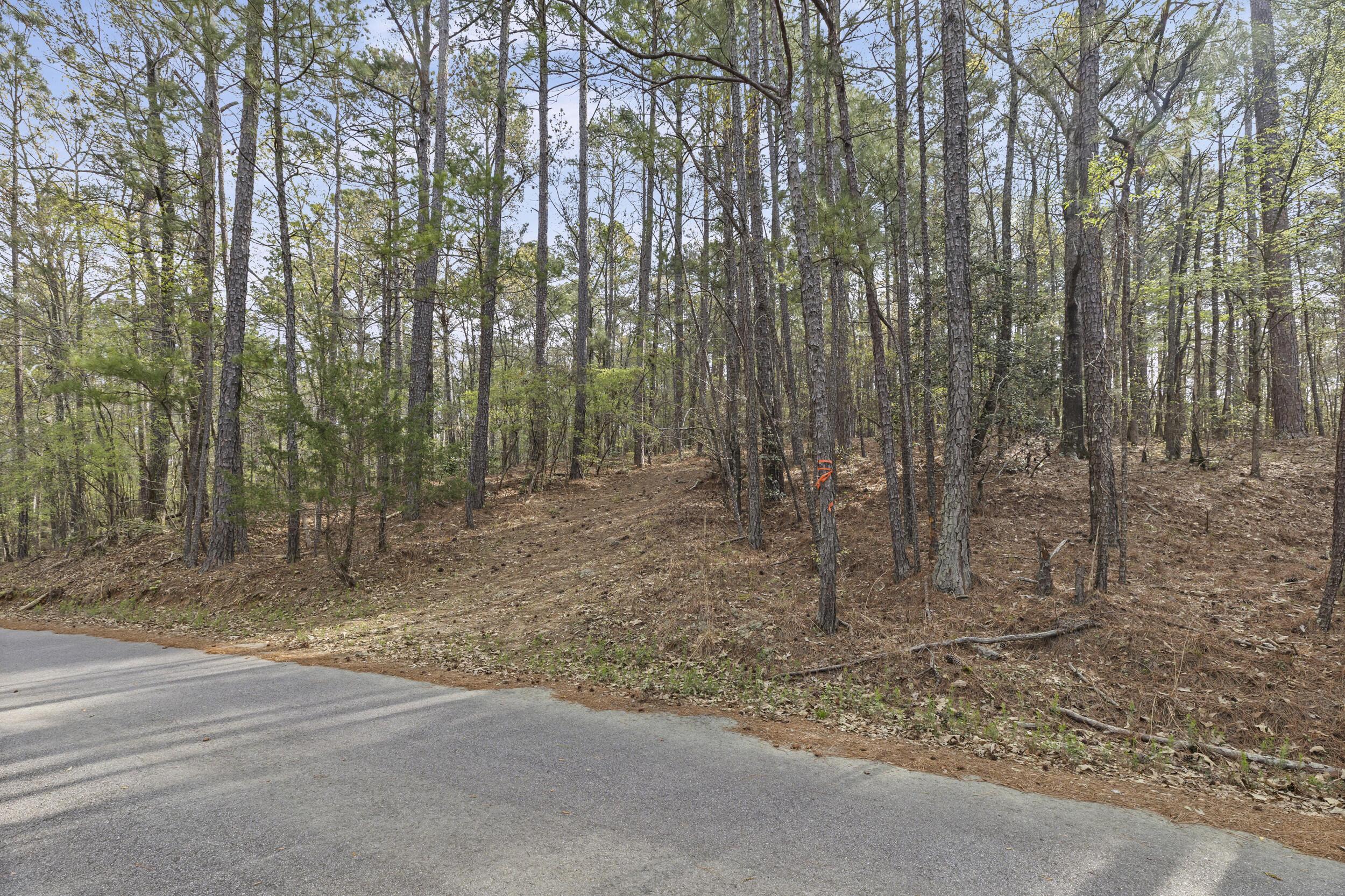 Image 4: 3_2026-03-24_lbk_cir-srm-03