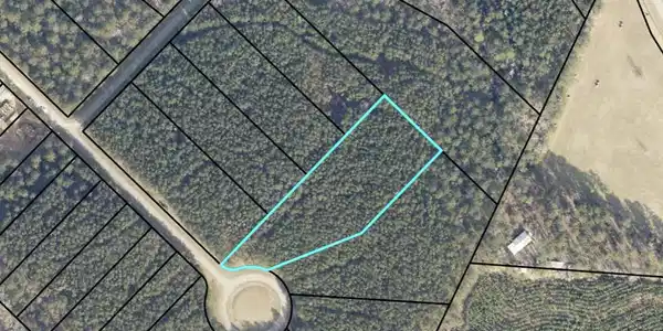 Image 3: Screenshot 2025-11-22 at 8.04.29AM