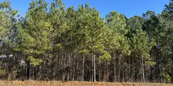 Lot 62 Wisteria Drive