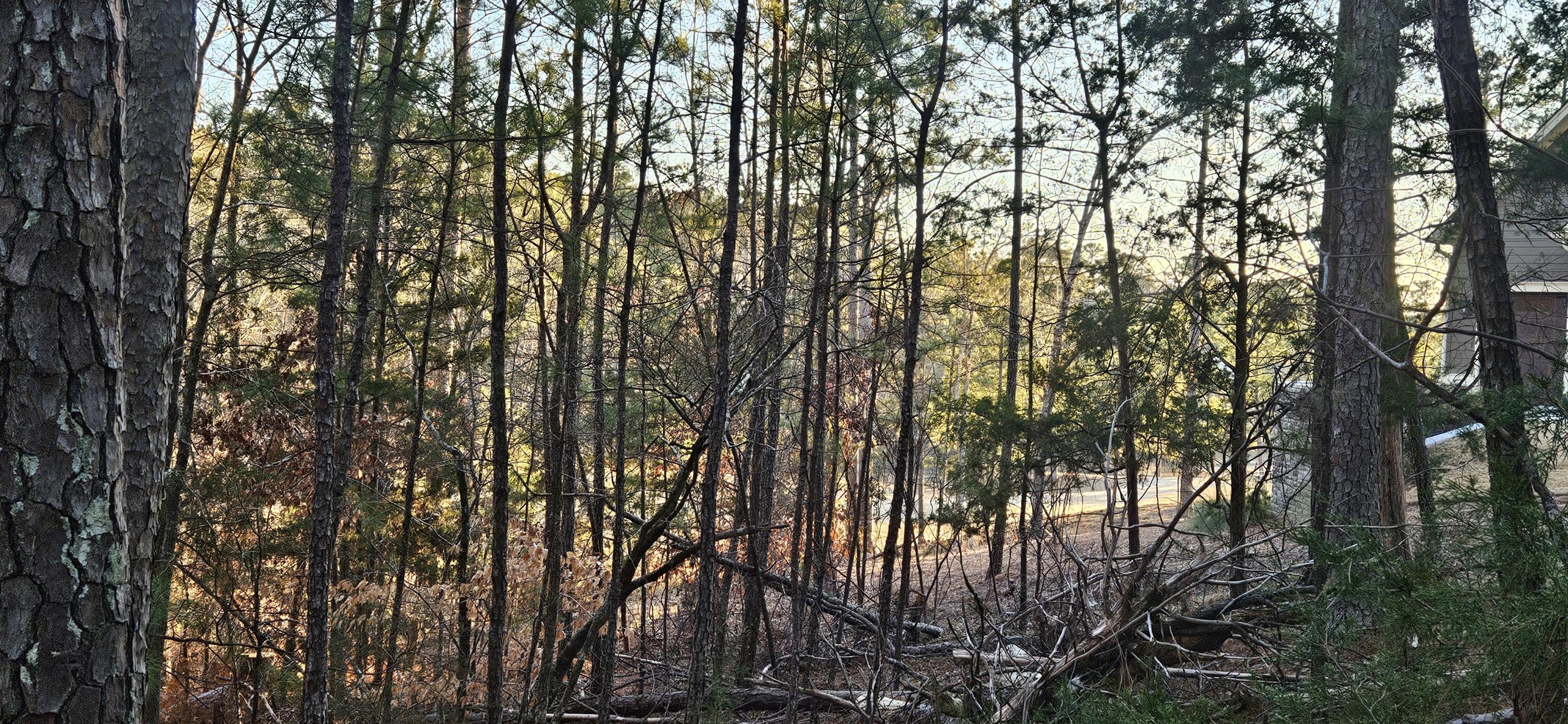 Image 4: 20260207_173459