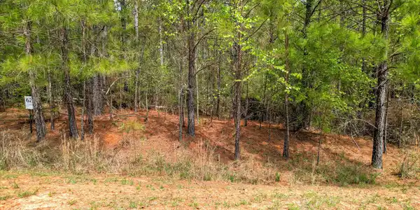 1048 Longleaf Way
