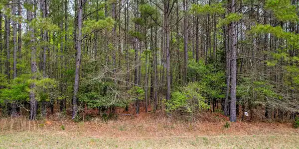 1030 Clinton-williams Road Road