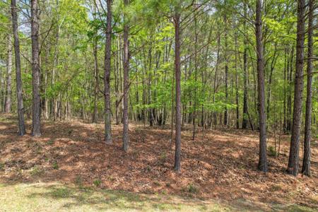 1018 Pineknoll Lane