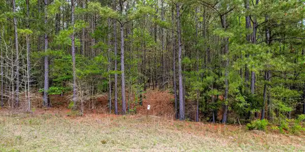 1066 Clinton-williams Road