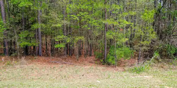 1078 Clinton-Williams Road