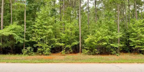 Lot 57 Lighthouse Pointe