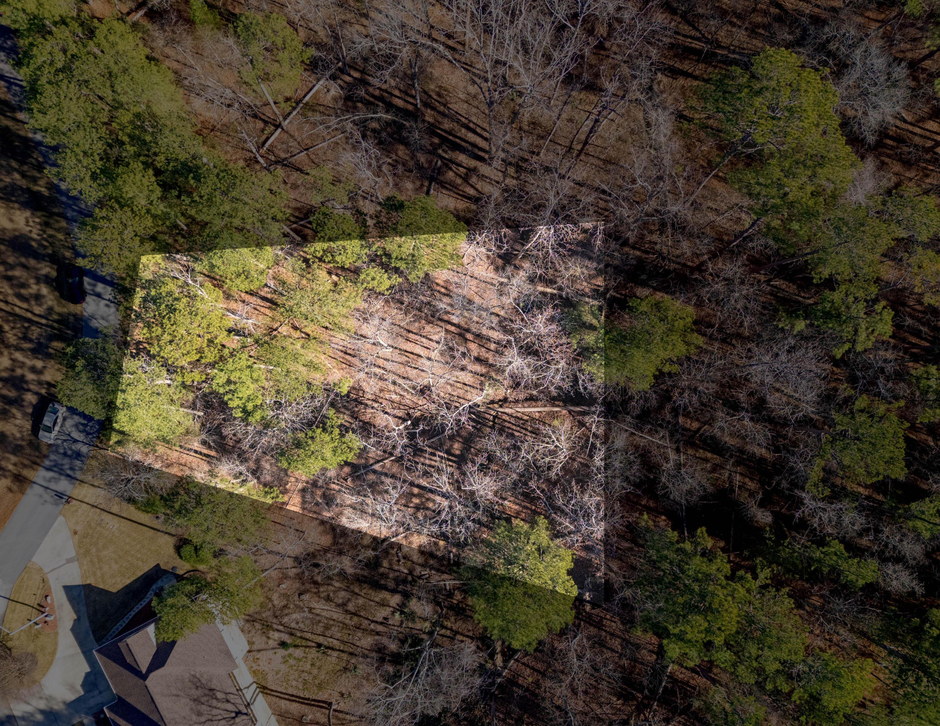Image 2: 089-01-59-016_photo2