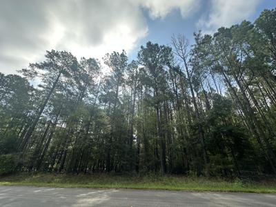 Lot 1 Dogwood Lane