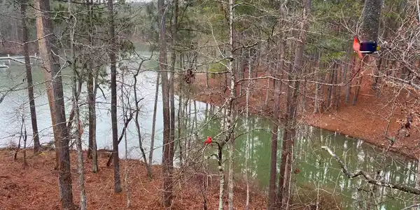 6-47 Superior Cove