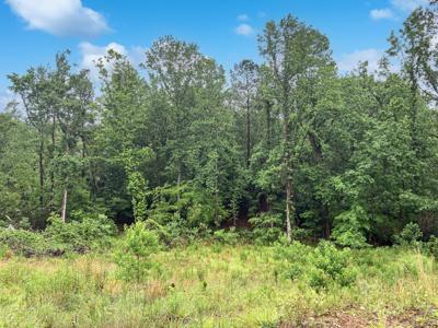 610 SAVANNAH BARONY Drive