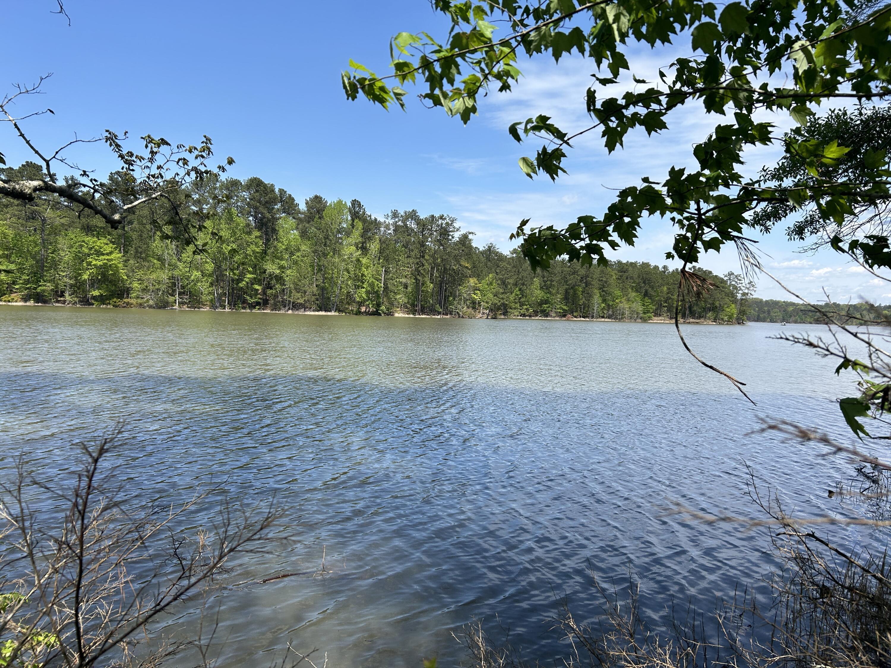 Image 1: View from back of property