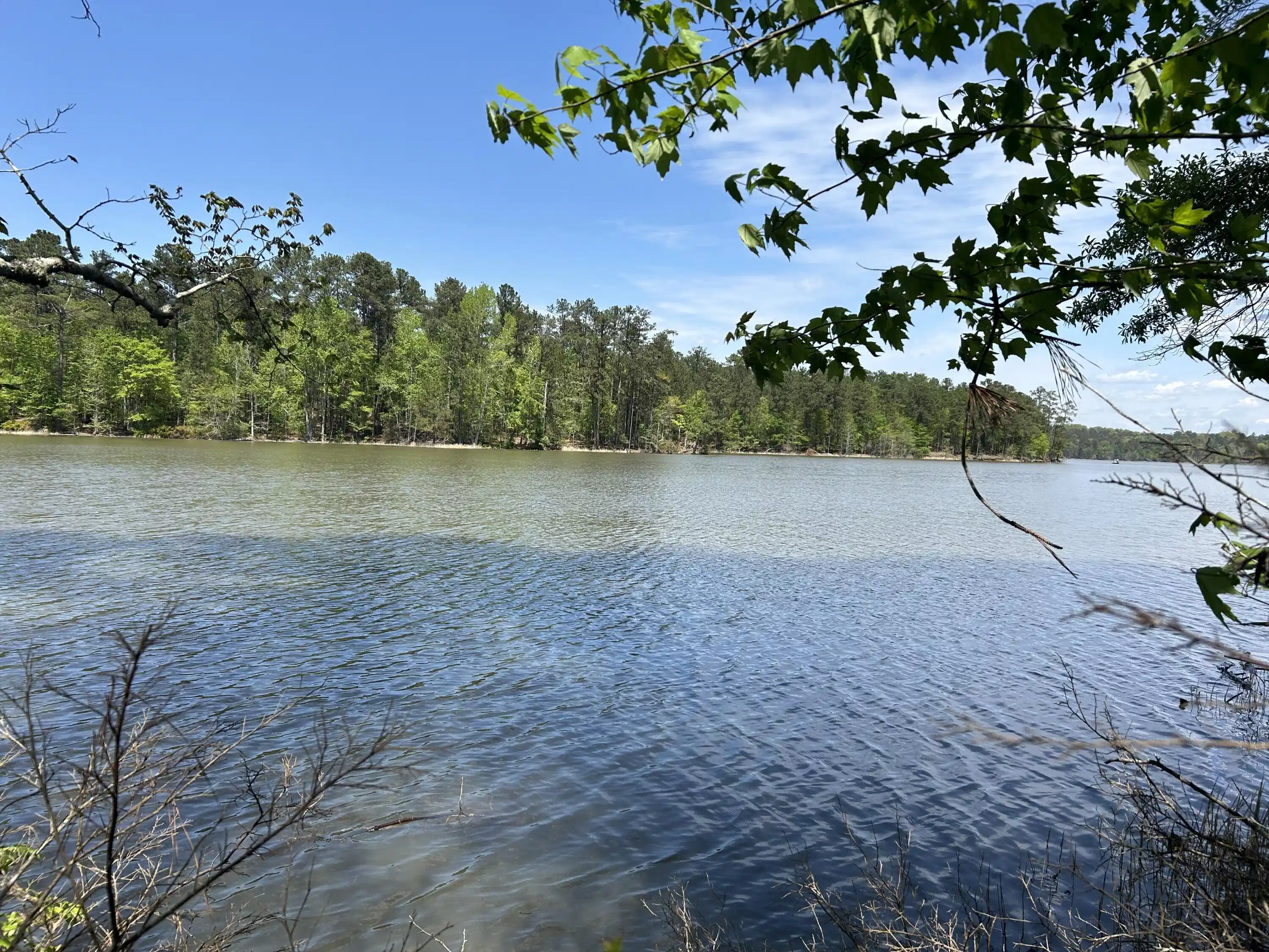 Image 1: View from back of property