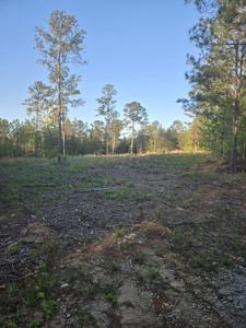 0 Sweetgum Lane
