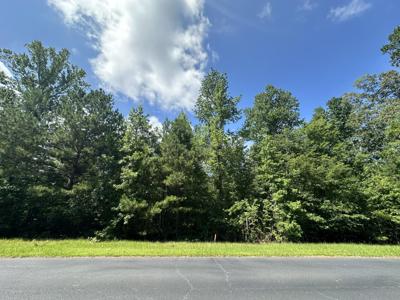 Lot 11 South Pointe Drive