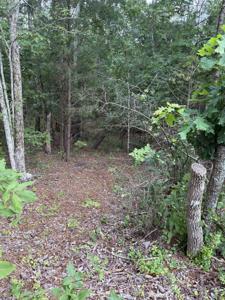 Lot 15 Overlook Point