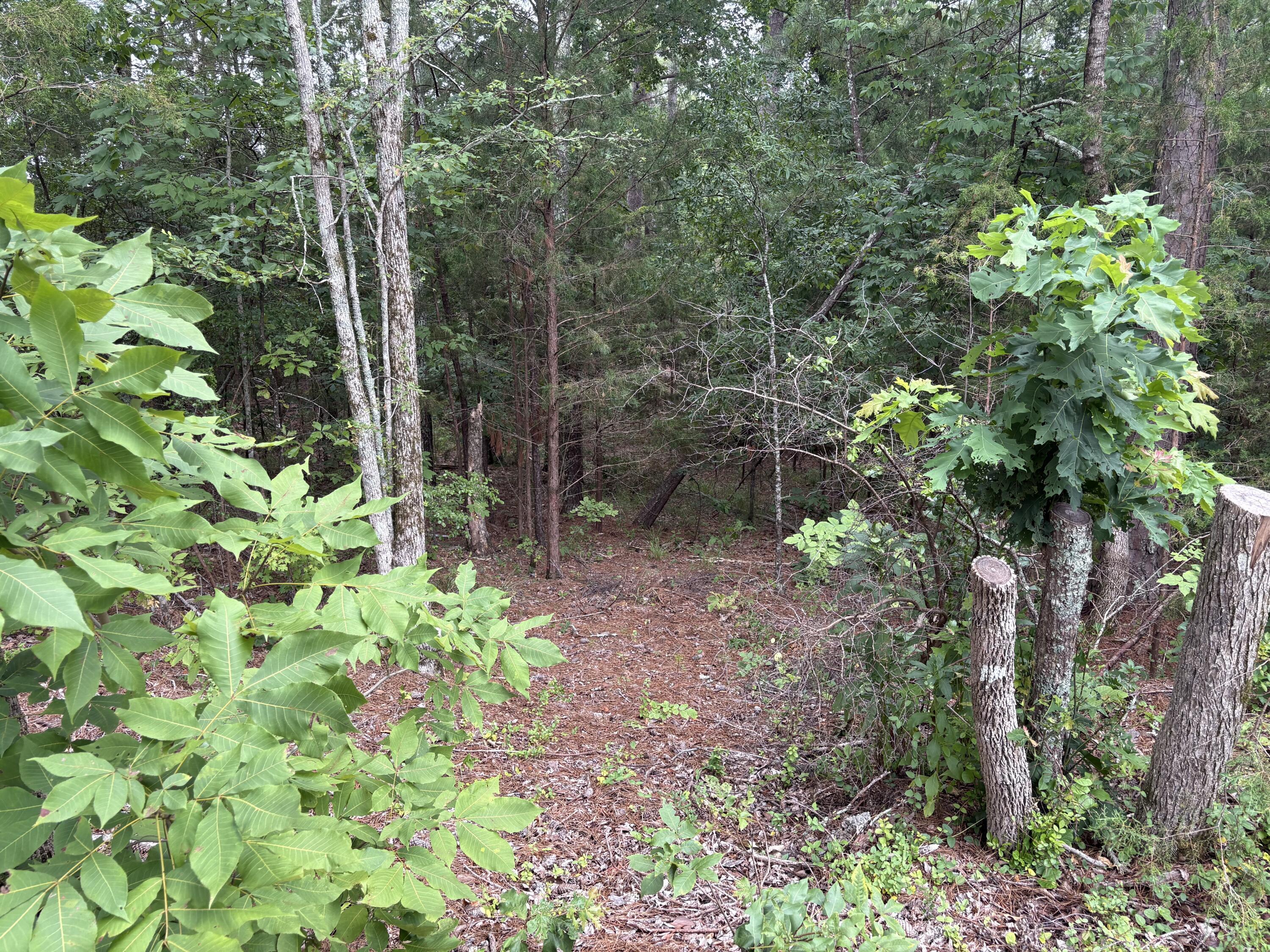 Image 2: Image 2