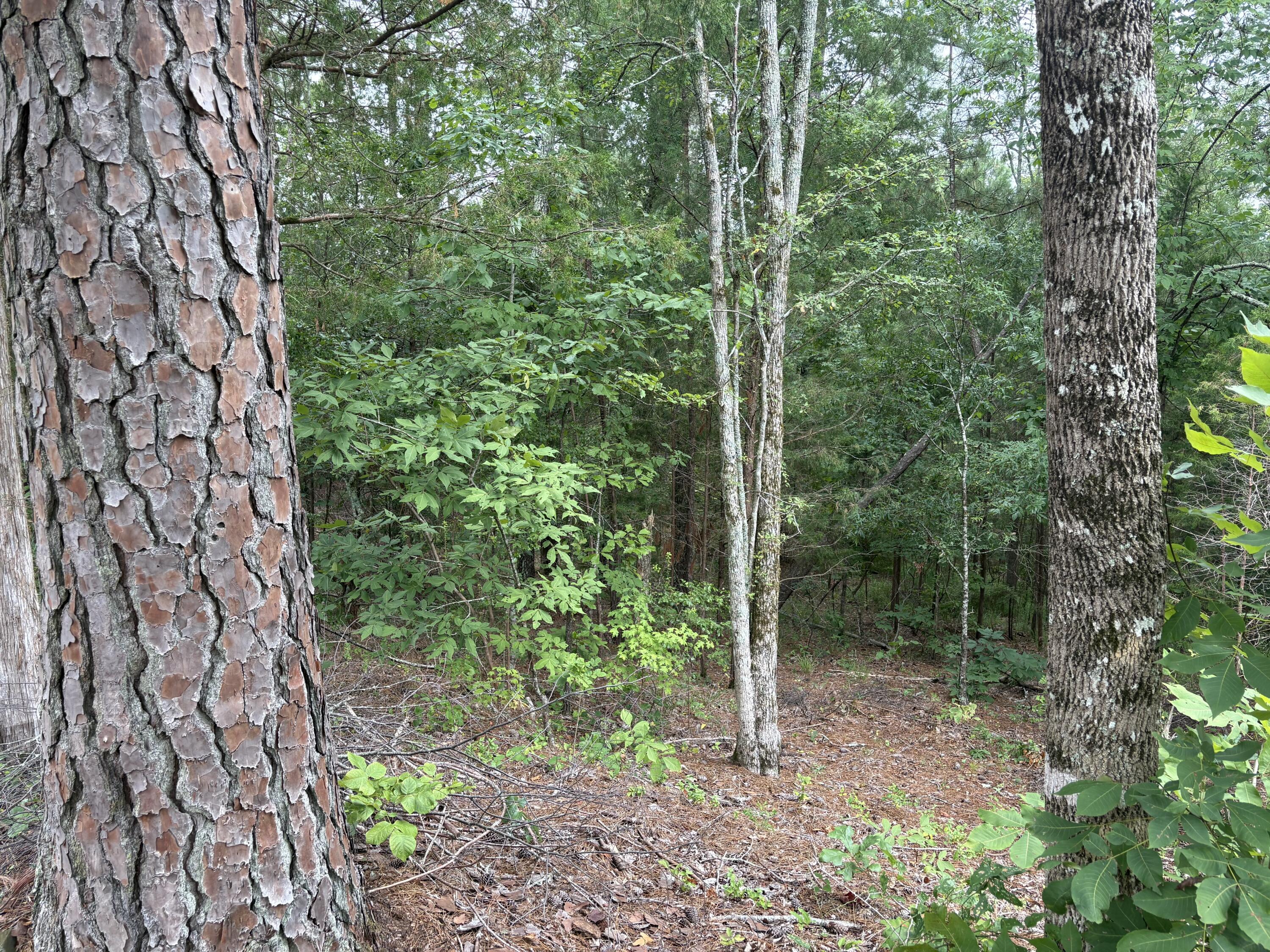 Image 3: Image 3