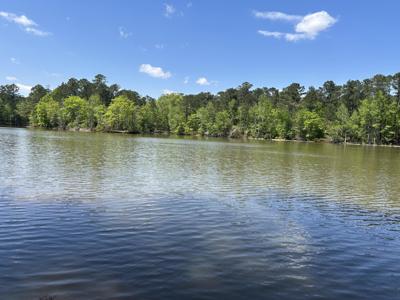 1153 Watersedge Cove