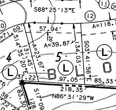 Image 3: Original Survey 1