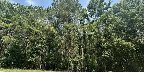 Lot 1-E Ridge Road