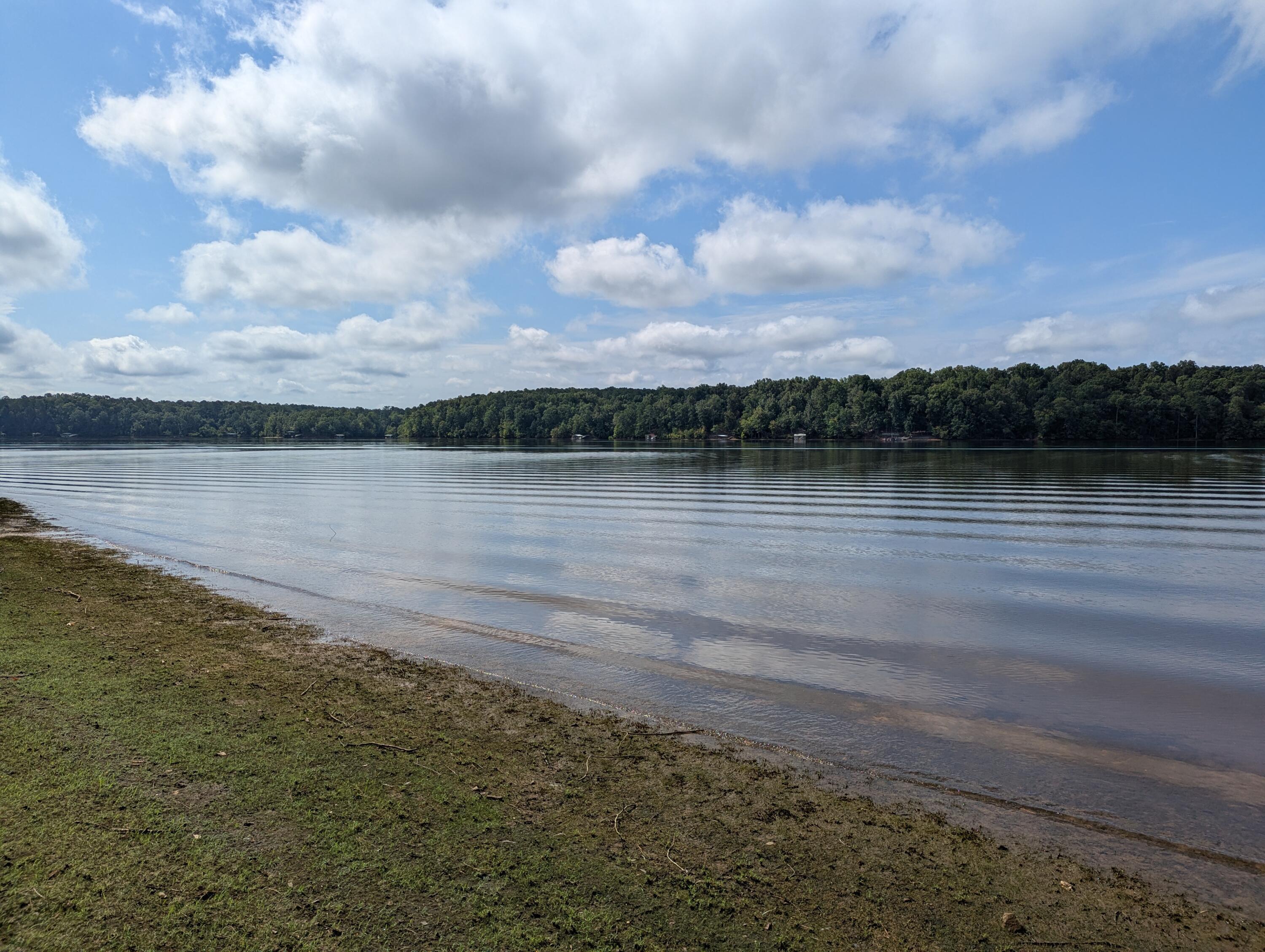 Image 3: PXL_20250730_145154971